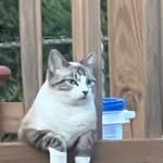 Dot Taylor - @dottaylor49 - Instagram