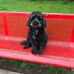 Dot Taylor - Facebook