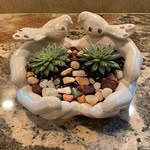 Dot Taylor - @succulentsnmore.latrobe - Instagram