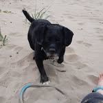 Dot Taylor - @dottaylor33 - Instagram