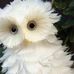 Dorothy Whitehead - Facebook