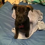 Dottie - @dottie_baker_orozco - Instagram