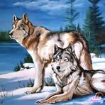 Dottie Bell - Facebook