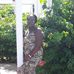Dottie Brown - Facebook