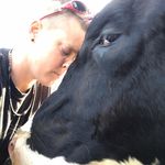 Dottie Brown - @brown_dottie - Instagram