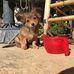 Dottie Ferrell - Facebook