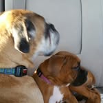 Dottie316 - @dottiegarrison316 - Instagram