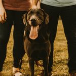 Lottie Dottie Harrison - @dottiethecharcoallab - Instagram