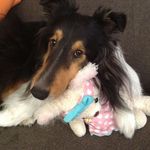 Michiko Takahashi - @harrison.dottie.mom - Instagram