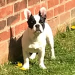 Dottie❤️❤️ - @dottie.meadows - Instagram