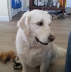 Dottie Meade - Facebook
