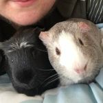 Dottie and Pepper - @adventuresofdottieandpepper - Instagram