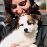 Dottie Pepper - @dottie.pepper - Instagram