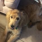 Dottie Phillips - @alotta.dottie - Instagram
