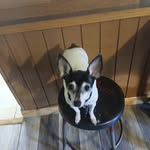 Dotty Porter - @47squirt - Instagram