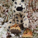 Dottie the Dalmatian - @postpalsdottie - Instagram