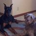 Dottie R. Powell - Facebook