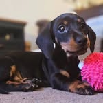 @dottierayedays - Instagram