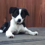 Dottie Read - @dottie.read - Instagram