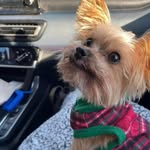 Dottie Read Washburn - @dottiewashburn - Instagram