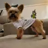 dottiereadwashbur - @dottiereadwashbur - TikTok