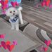 Dottie Reed - Facebook