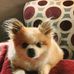 Dottie Reed - Facebook