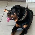Dottie Reed - @dot3kiddos - Instagram
