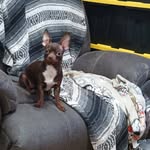 Dottie Rivers - @dottierivers - Instagram