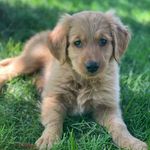 Dorothy Blanche Rose - @dot.tie.rose - Instagram