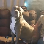 Dorothy Schultz - Facebook