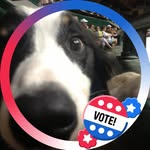 Dotty Schultz - @dottyschultz - Instagram