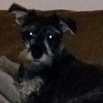 Dotty shaw - @dotty._.shaw1 - Instagram