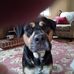 Donnie Shields - Facebook