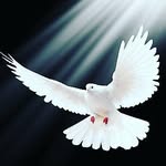 Dottie Smith - @dottie.smith512 - Instagram
