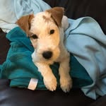 Dottie Smith - @dottie8039 - Instagram