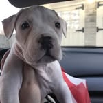 Dottie Smith - @dottiesmiths - Instagram