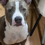 Dottie Smith - @dotsmith40 - Instagram