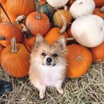Dottie Smith - @dottiesworld_ - Instagram