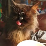 Dottie Stout - @dottiestout66 - Instagram