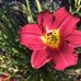 Dottie Stout - Facebook