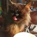Dottie Stout - Facebook