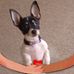 Dorothy Townsend - Facebook