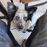 Dorothy Merle Ward - @dottie_merle_ward - Instagram