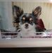 Dottie Ward - Facebook