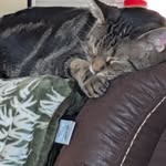 Dottie Ward Medford - @dottiewmedford - Instagram