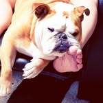 Princess Dottie Anne Ward - @princessdottieanne - Instagram