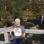 Dottie Wells - Facebook