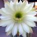 Dottie Wolfe - Facebook