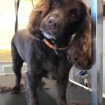 Michelle Louise Enderby - @dotty_bella_star - Instagram